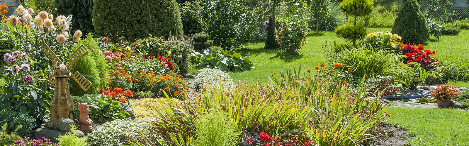 Beautiful Home Garden With No White Flies
