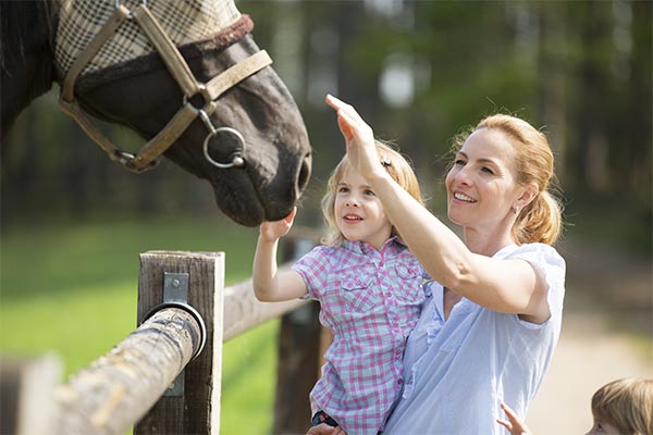 Pest Control in Wellington Florida, a Primarily Equestrian Community